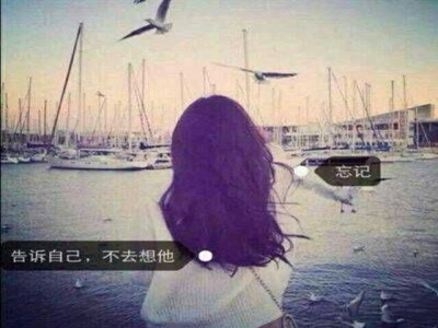 热心的朝阳群众51cgfun9,朝阳网友助人传佳话-2